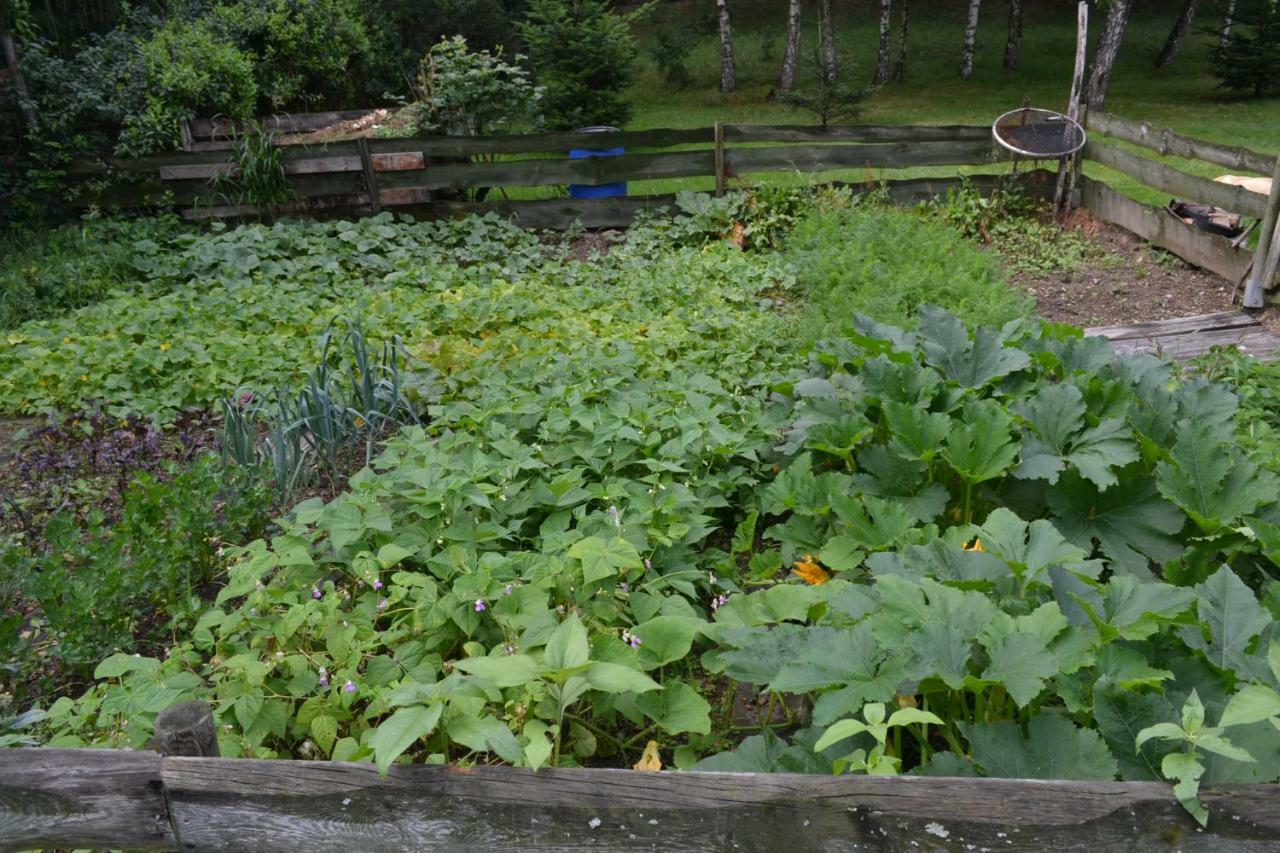 Agroturystyka Teosiowo Победна Экстерьер фото